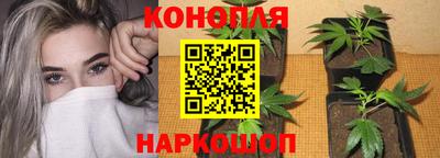 молекула духа Гагарин