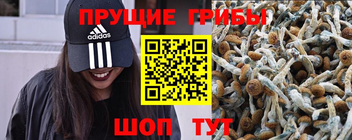 Псилоцибиновые грибы прущие грибы  Галлюциногенные грибы мухоморы  Мытищи  Вход с VPN 